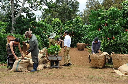 Xuất khẩu hàng thô vẫn còn cao