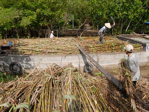 Nghịch lý đường dư thừa nhưng lại hạn chế xuất khẩu
