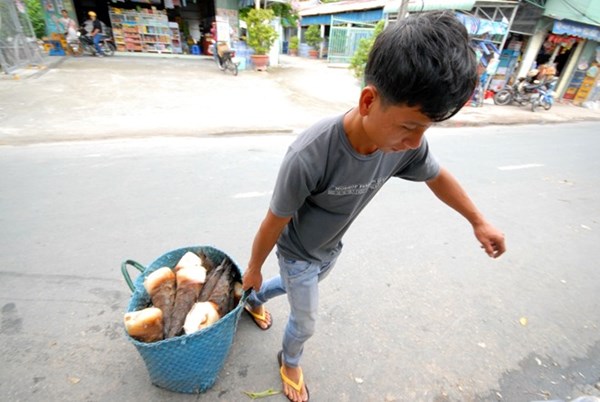 V&ugrave;ng trồng măng mạnh t&ocirc;ng nhiều nhất An Giang l&agrave; 2 huyện miền n&uacute;i Tịnh Bi&ecirc;n v&agrave; Tri T&ocirc;n.