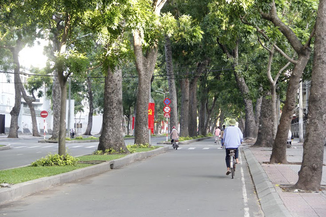 T&ocirc;i sống ở đ&acirc;y đ&atilde; gần 40 năm v&agrave; cũng chừng đ&oacute; năm gắn b&oacute; với h&agrave;ng c&acirc;y xanh mướt n&agrave;y. Nghe tin TP sẽ chặt c&acirc;y để l&agrave;m cầu, t&ocirc;i thực sự tiếc lắm - b&aacute;c Năm, l&agrave;m nghề bơm v&aacute; xe ở đường T&ocirc;n Đức Thắng cho biết.