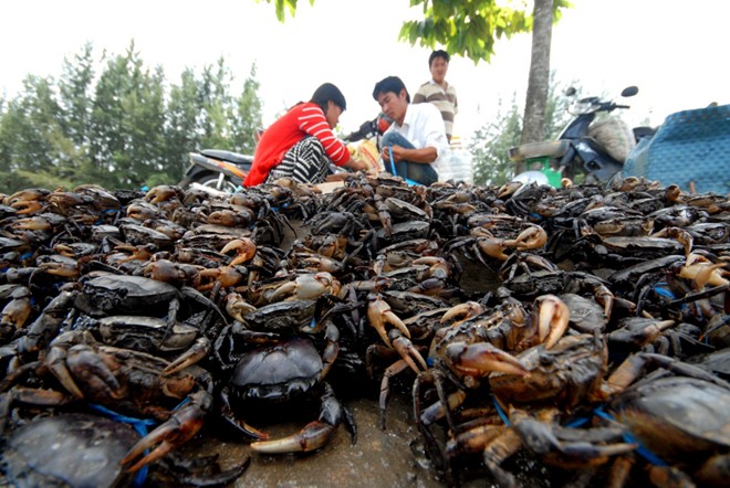 Những chợ đặc biệt chỉ c&oacute; trong m&ugrave;a lũ 