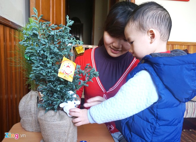 C&acirc;y Noel mini, c&oacute; m&ugrave;i thơm được chuộng trong m&ugrave;a Gi&aacute;ng sinh
