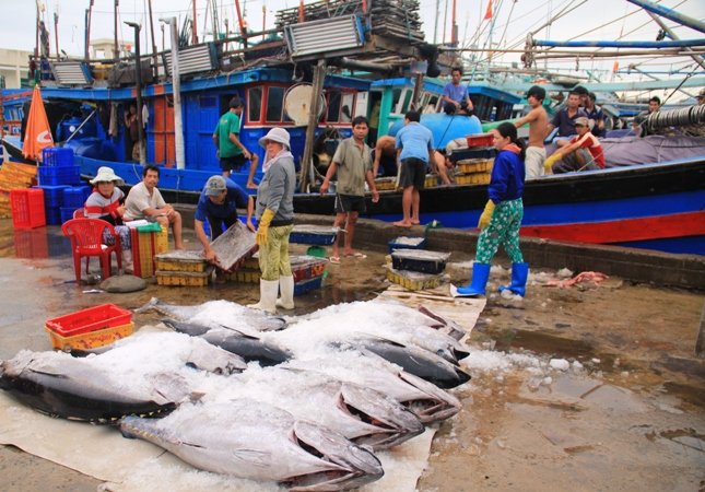 Hỗ trợ ngư dân: Tiền thôi, chưa đủ!