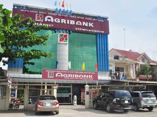 Cựu sếp Chi nhánh Agribank làm thiệt hại hơn 600 tỉ đồng