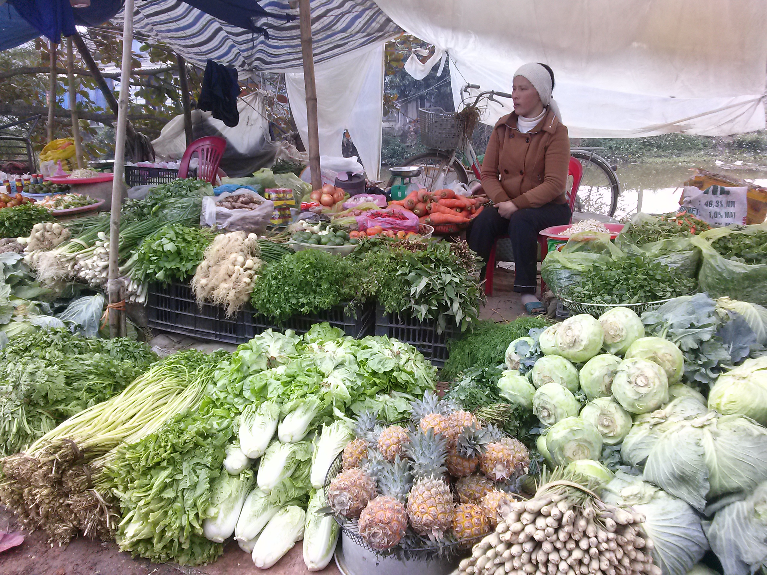 Sạp rau của chị Hoa rất nhiều rau ngon, mơn mởn và giá rẻ giật mình