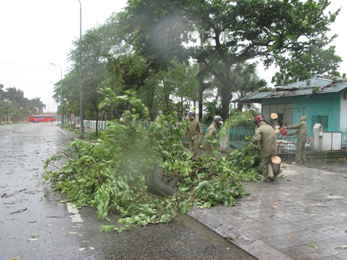 Những chiếc c&acirc;y đầu ti&ecirc;n ở M&oacute;ng C&aacute;i g&atilde;y đổ s&aacute;ng 19-7