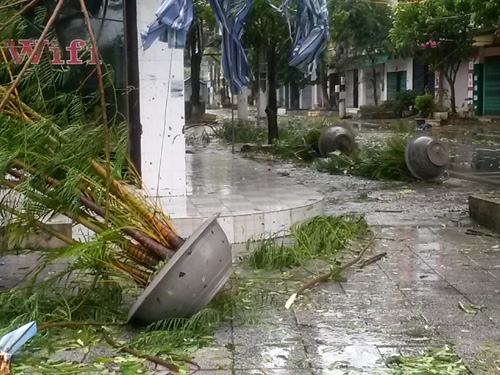 Những chậu c&acirc;y cảnh bị gi&oacute; thổi đổ