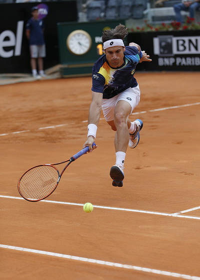 David Ferrer