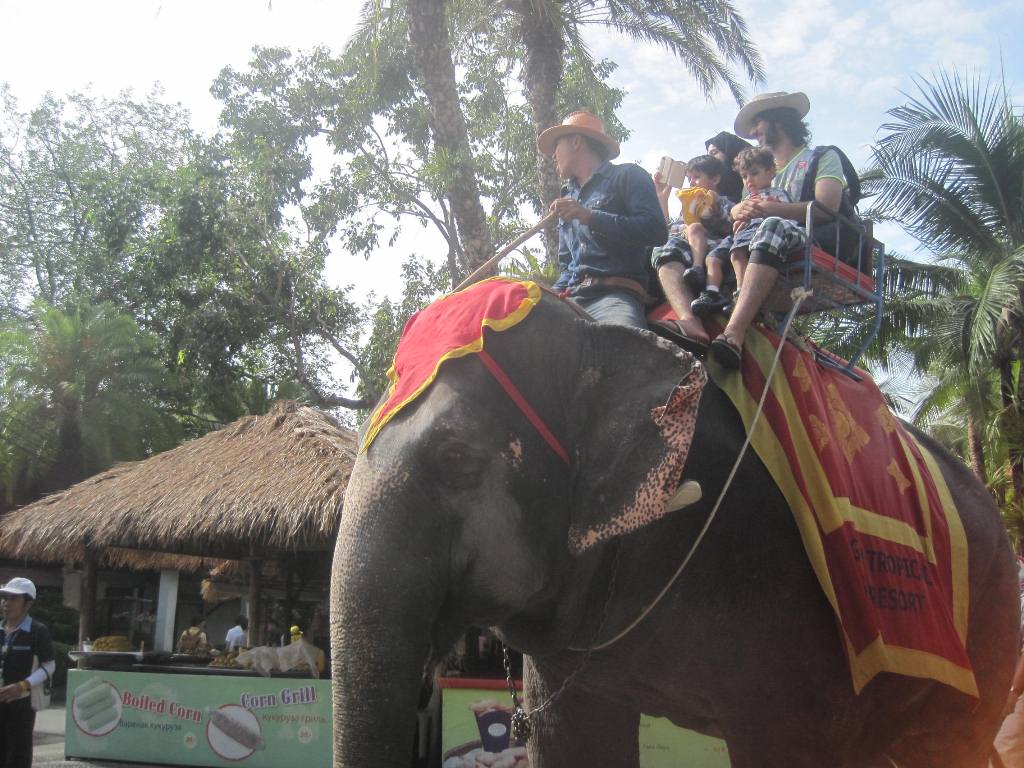 C&ocirc; b&eacute; cậu b&eacute; n&agrave;o cũng muốn được ch&uacute; voi nhấc bổng đặt l&ecirc;n lưng đưa đi dạo một v&ograve;ng