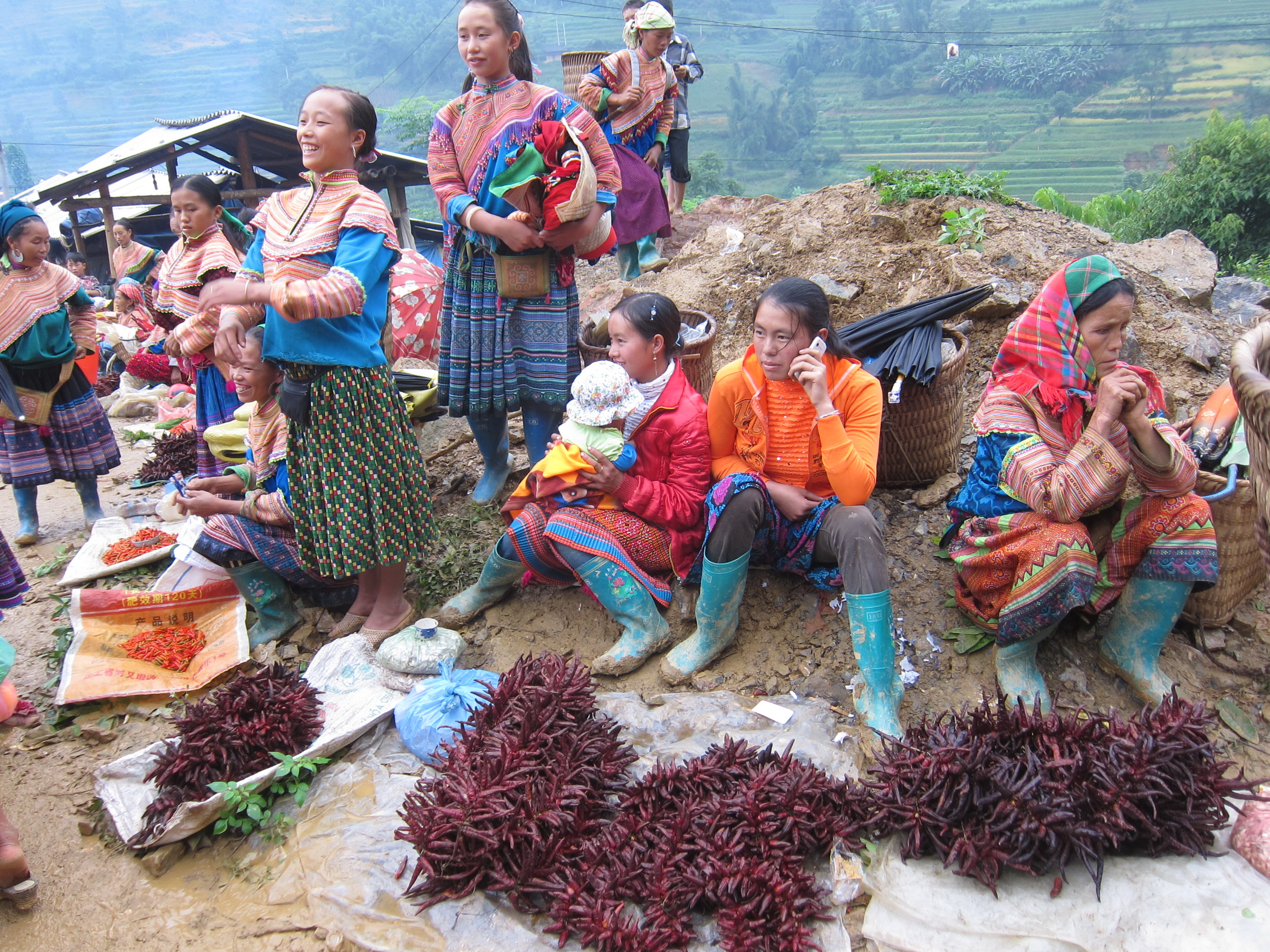 Tr&acirc;u, b&ograve; (ảnh tr&ecirc;n) v&agrave; ớt, hai m&oacute;n h&agrave;ng được b&aacute;n nhiều nhất trong chợ phi&ecirc;n C&aacute;n Cấu