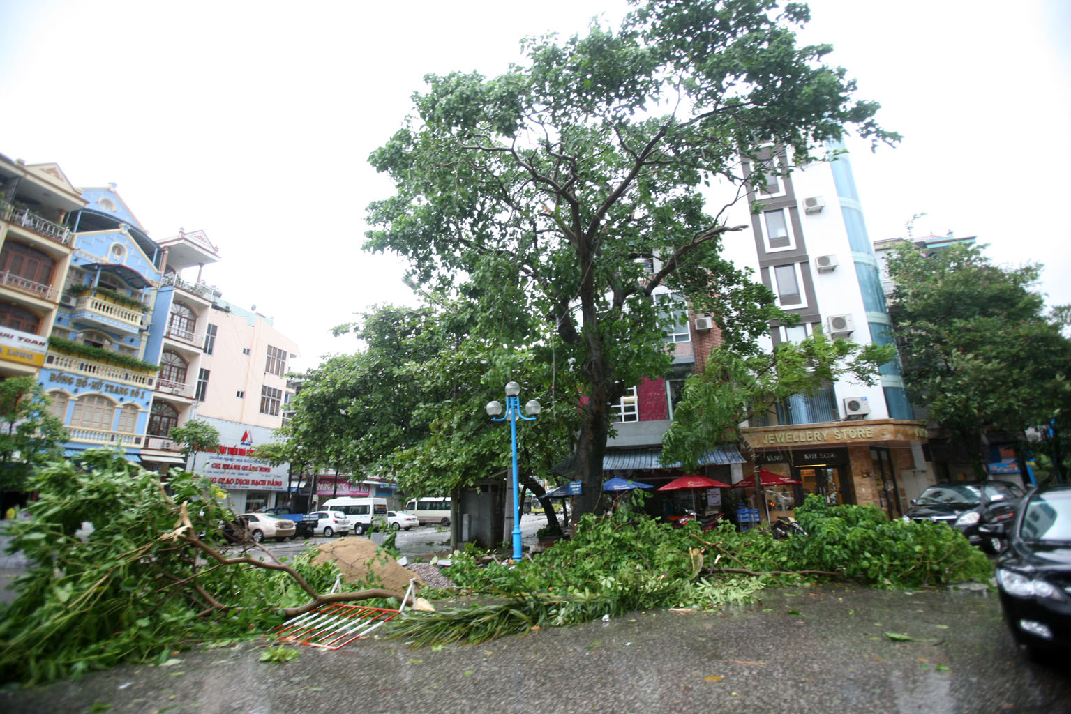 Cây gãy đổ ngổn ngang trên đường phố TP Hạ Long (Quảng Ninh)