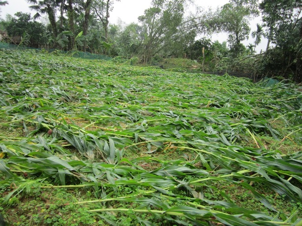 Lốc xoáy kinh hoàng ở Hà Tĩnh
