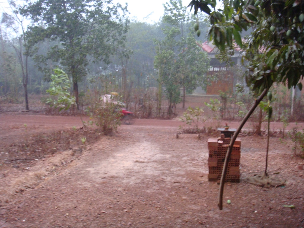 Bình Phước hứng "cơn mưa vàng”