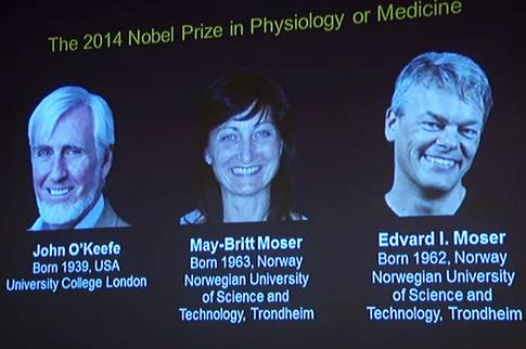 Nghiên cứu về hệ thống định vị trong não được giải Nobel Y học