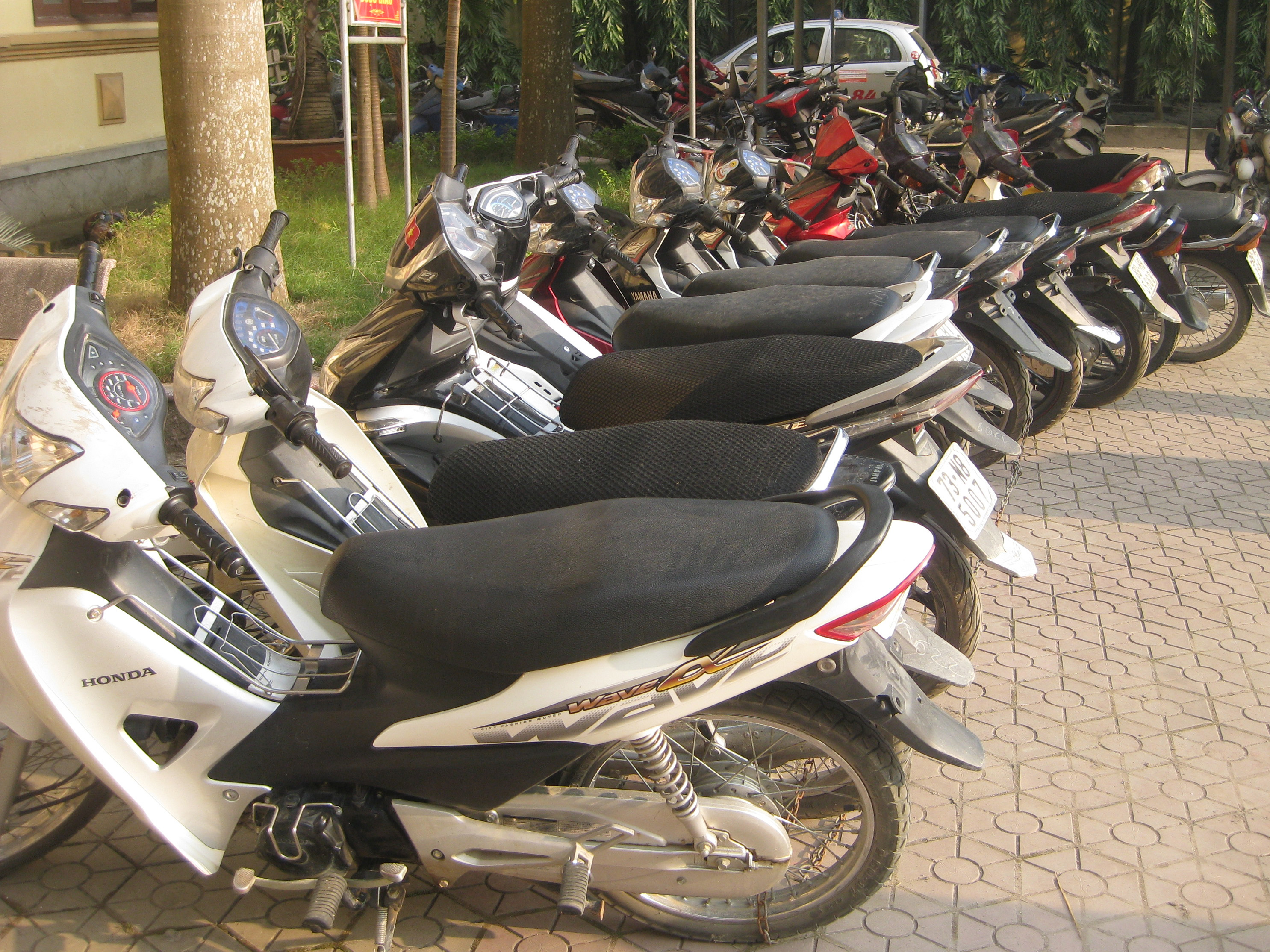 14 xe máy là tang vật được công an thu giữ