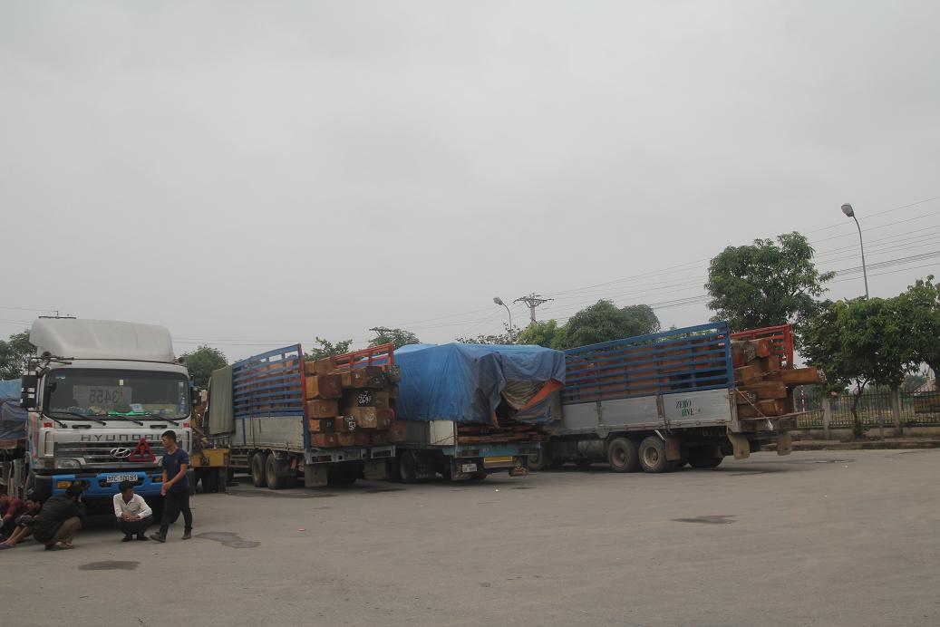 Đo&agrave;n xe chở gỗ qu&aacute; tải đang bị tạm giữ tại bến xe Đ&ocirc; Lương.