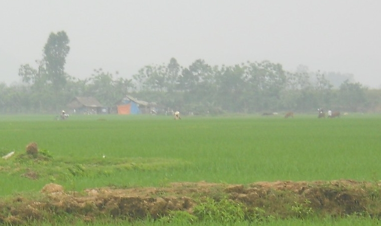 C&aacute;nh đồng Nương Mạ, x&atilde; H&ugrave;ng Th&agrave;nh nơi ph&aacute;t hiện hai ch&aacute;u Nguy&ecirc;n v&agrave; Trỗi tử vong.