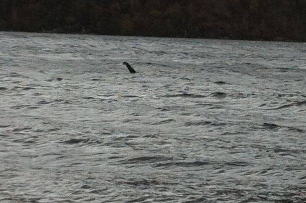 H&igrave;nh ảnh được cho l&agrave; qu&aacute;i vật hồ Loch Ness do &ocirc;ng 