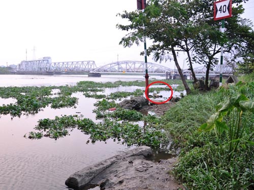 Đoạn sông phát hiện xác cô gái trong giai đoạn trương sình, hai tay bị kéo lên khỏi đầu cột chặt bằng sợi dây dù (khoanh tròn đỏ)