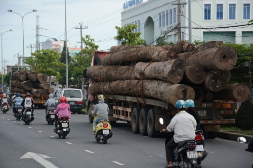 Bắt 2 xe chở gỗ vượt trên 100% tải trọng