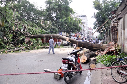 Mưa lốc, cây bật gốc, nhiều người tháo chạy
