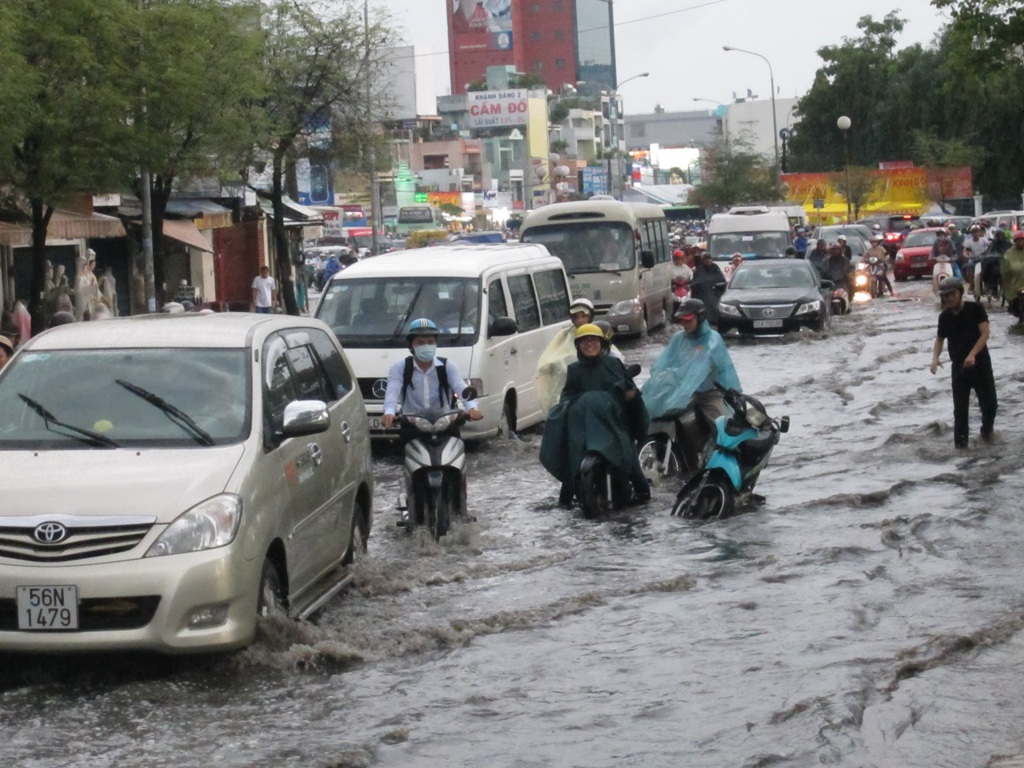 Không phải tại trời