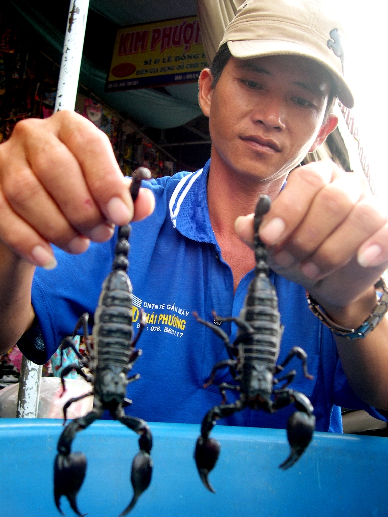 Bọ cạp Bảy Núi: Từ hang ổ đến bàn nhậu
