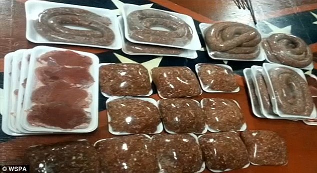 Anh Webb cũng gặp kh&oacute; khăn trong kh&acirc;u dự trữ. Ảnh: WSPA