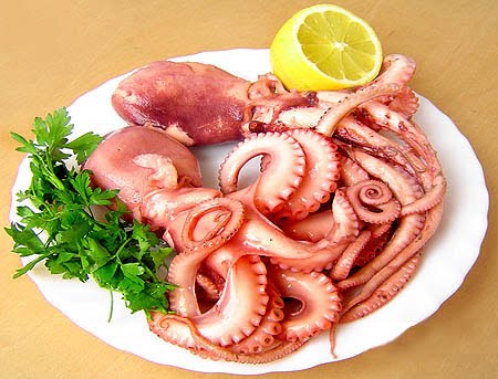 Bạch tuộc - vị thuốc chống suy nhược