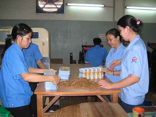 Nghỉ Tết dài ngày, tăng hiệu quả công việc