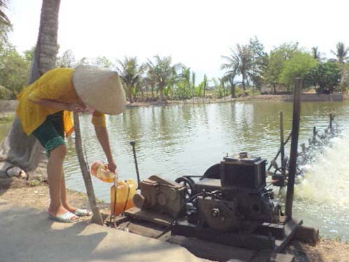 Kh&ocirc;ng c&oacute; điện, người d&acirc;n phải d&ugrave;ng m&aacute;y nổ để chạy quạt sục &ocirc;xy cho t&ocirc;mẢnh: Đức L&acirc;m