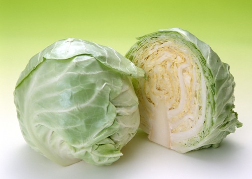 Trong cải bắp chứa một loại hoạt chất, n&oacute; gi&uacute;p ph&acirc;n giải estrogen c&oacute; li&ecirc;n quan đến ung thư v&uacute;
