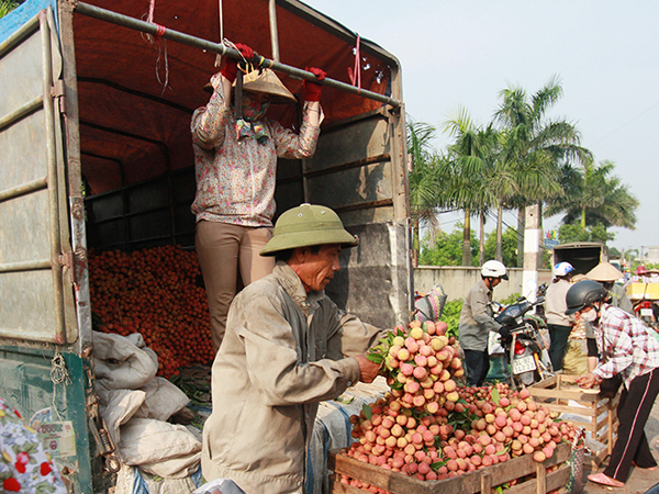Người bán nhiều nhưng người mua ít nên tình trạng ép giá thường xuyên xải ra. Ảnh: TRỌNG ĐỨC