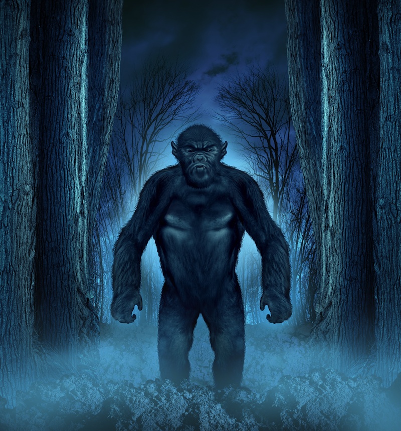 Bí ẩn về dã nhân Bigfoot được làm sáng tỏ