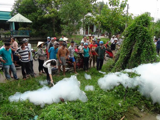 Xuất hiện bọt tuyết trên cánh đồng ở huyện Trảng Bàng