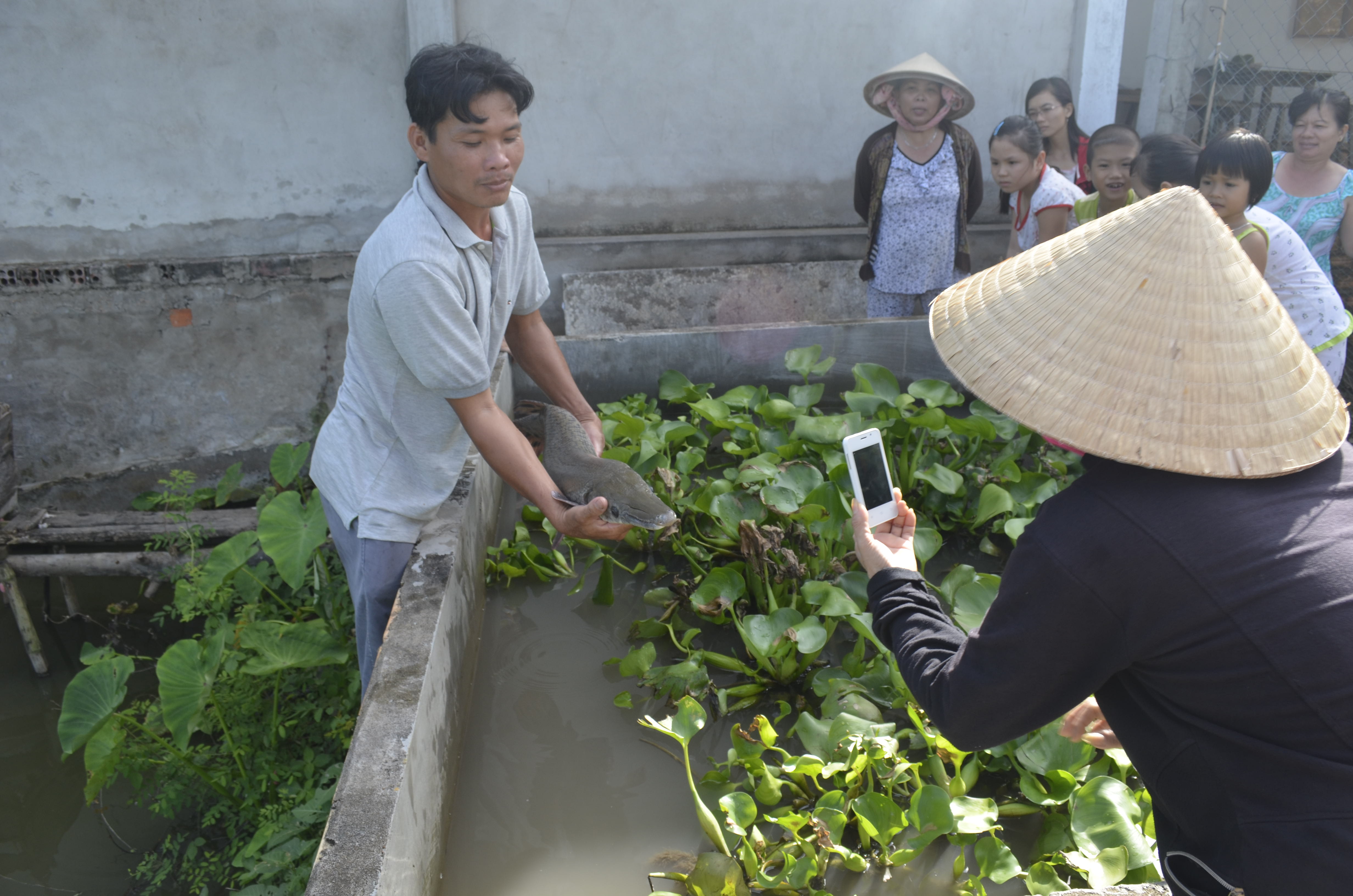 Người d&acirc;n hiếu kỳ đến xem v&agrave; chụp ảnh c&aacute; lạ