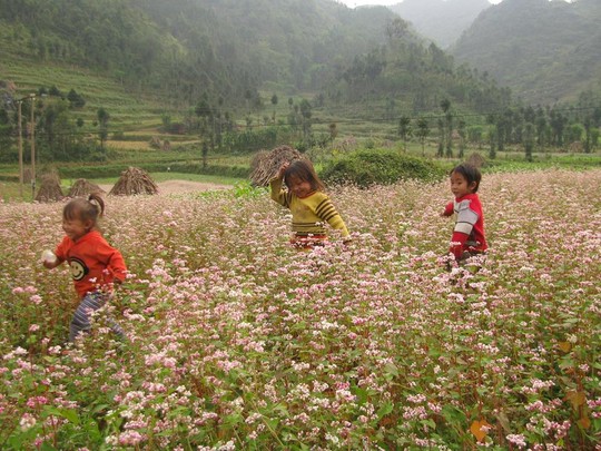 “Sốc” vì Việt Nam vào tốp 20 nơi đáng sống nhất thế giới!