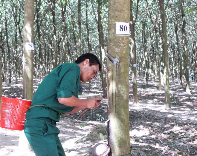 8 nh&oacute;m đối tựơng được điều chỉnh lương hưu, trợ cấp BHXH - Ảnh 1.