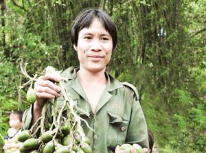 “Người rừng” chuẩn bị đón Tết