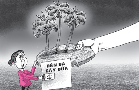 Tòa khổ vì… ba cây dừa