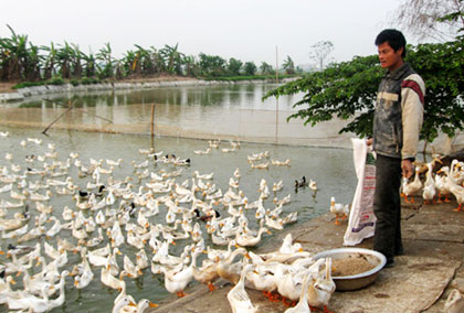Công an xã đánh người cho... bõ ghét