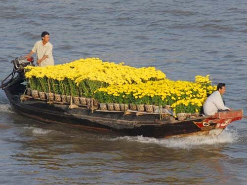 Ghe, thuyền chở hoa hối hả tiến về chợ nổi