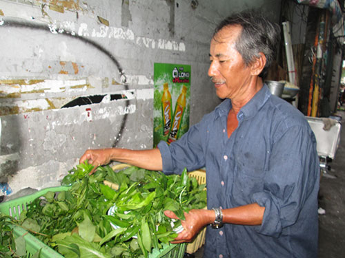Mốt ăn rau rừng