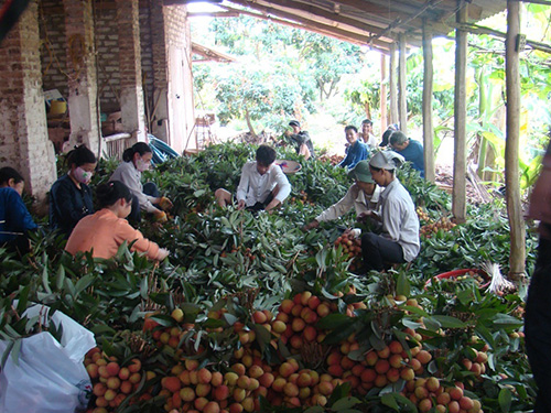 Điều tiết lại thị trường