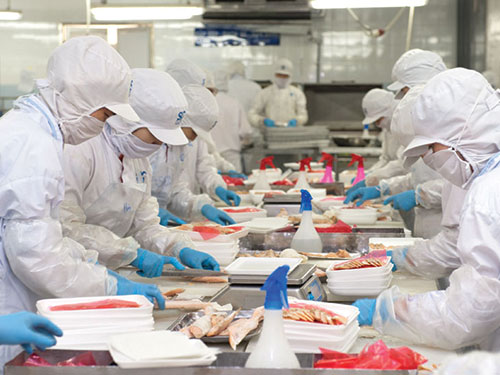 Năm 2014, C&ocirc;ng ty CP S&agrave;i G&ograve;n Food đưa ra chỉ ti&ecirc;u xuất khẩu khoảng 6.500 tấn sản phẩm