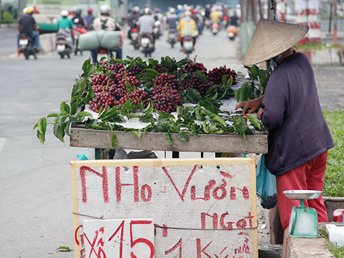 Nho “lạ” ngập thị trường