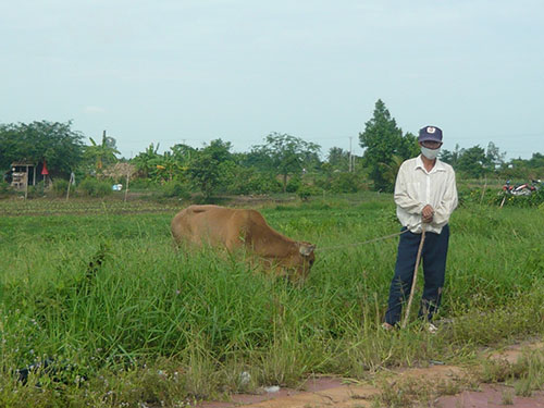 Bỏ phí đất màu mỡ