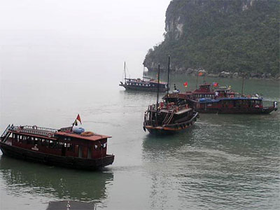 Vụ DN muốn quản Vịnh Hạ Long: Chỉ giao quyền thu phí không quá 10 năm