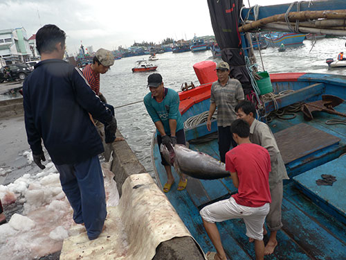 Nước lũ vượt đập thuỷ điện, uy hiếp dân