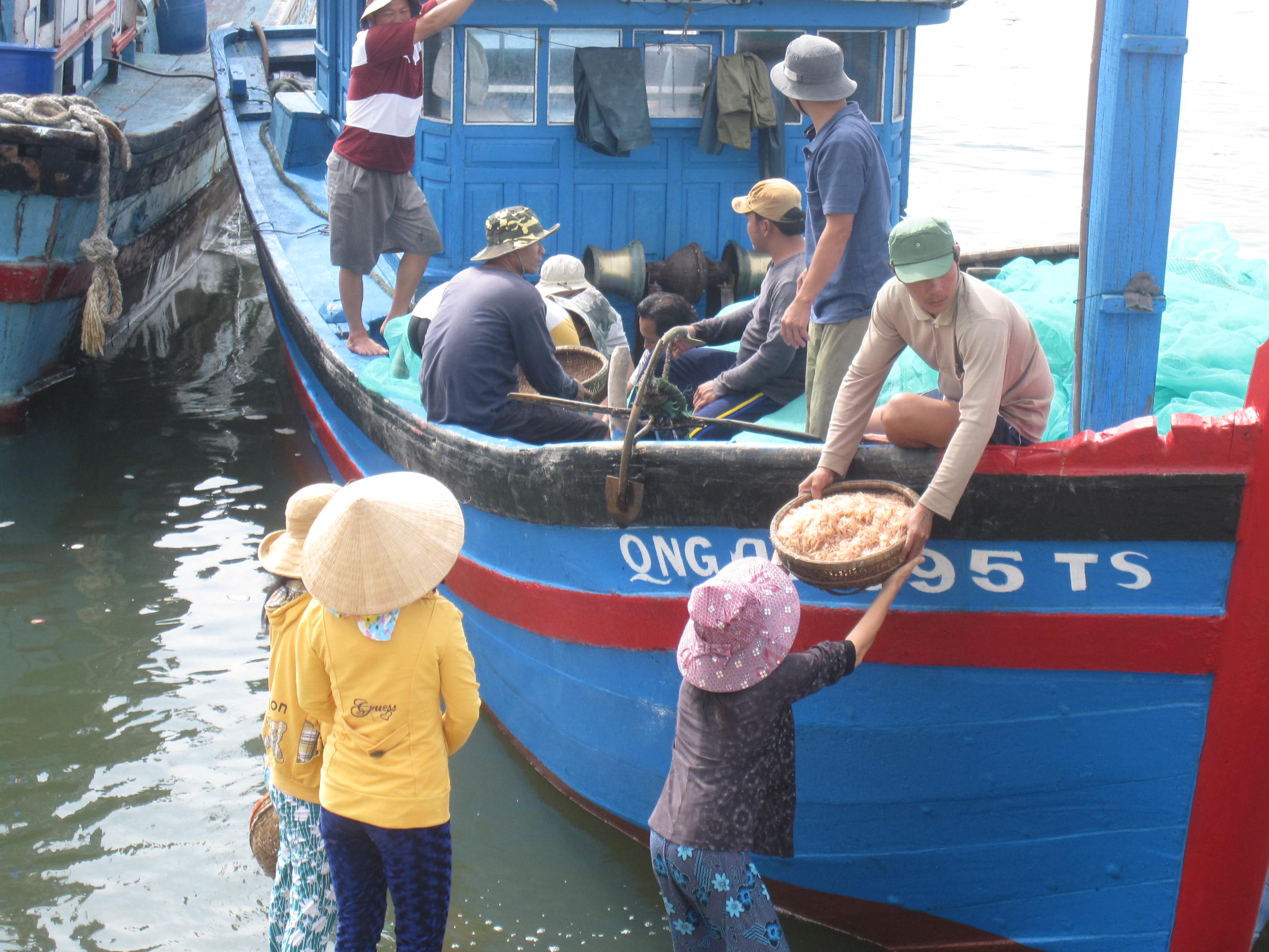 Trúng đậm ruốc, cá cơm, ngư dân có tiền triệu sau vài giờ